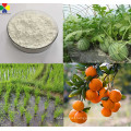 Agricultural Plant Growth Regulator Planofix NAA Hormone 98%TC